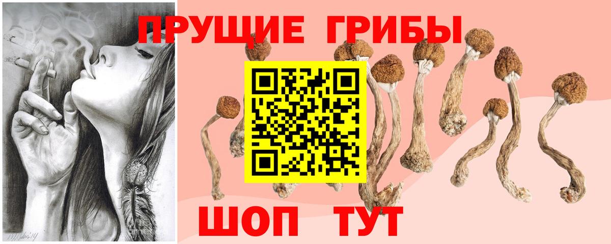 Галлюциногенные грибы MAGIC MUSHROOMS Елизово