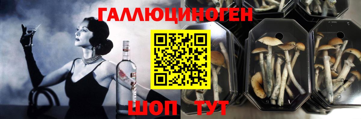 Галлюциногенные грибы мицелий  Вход с VPN  Елизово  Галлюциногенные грибы Cubensis 